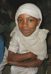 nemaju.jpg